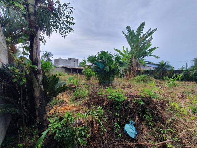 Terreno para Venda em Caraguatatuba - 4