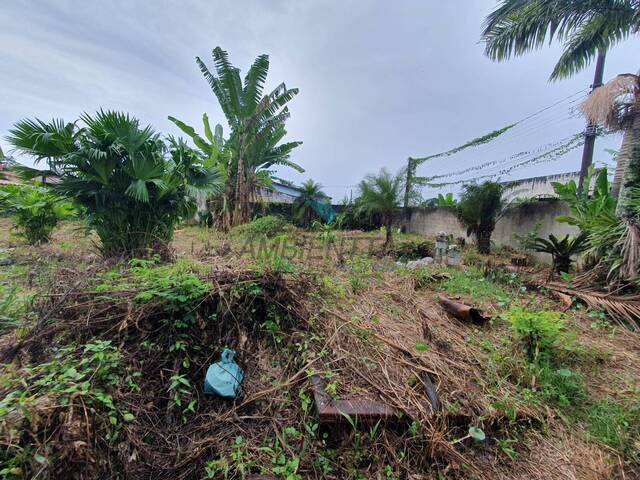 Terreno para Venda em Caraguatatuba - 5