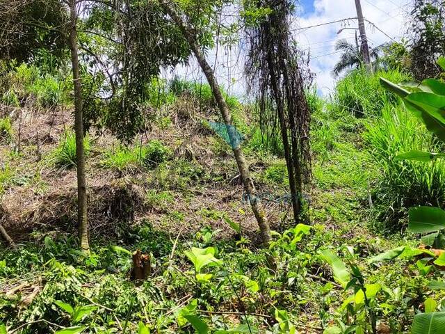 Terreno para Venda em Caraguatatuba - 5